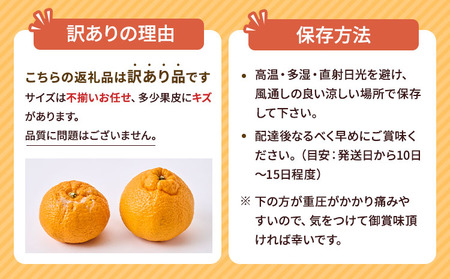 先行予約 訳あり 不知火 恋する不知火 約7.5kg 【2026年4月上旬から2026年6月下旬発送予定】 御舩果樹園