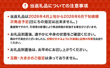 先行予約 訳あり 不知火 恋する不知火 約7.5kg 【2026年4月上旬から2026年6月下旬発送予定】 御舩果樹園