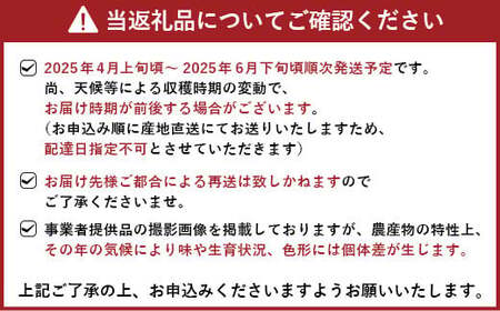 不知火 【先行予約】 恋する 不知火 約2kg 訳あり品 【御舩果樹園】【2025年4月上旬から2025年6月下旬発送予定】 デコポン同品種 柑橘不知火 しらぬい 国産不知火