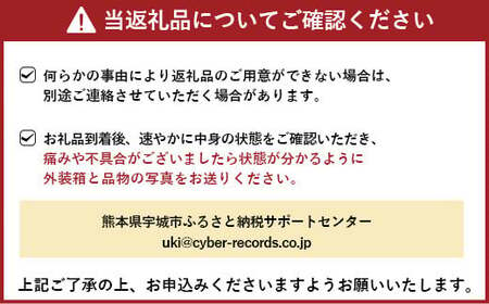 不知火 【先行予約】 恋する 不知火 約2kg 訳あり品 【御舩果樹園】【2025年4月上旬から2025年6月下旬発送予定】 デコポン同品種 柑橘不知火 しらぬい 国産不知火