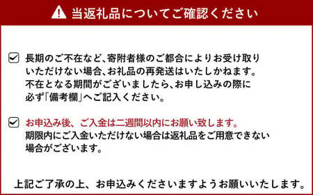 いちご 恋みのり イチゴ 4パック 約1kg【2025年2月上旬から3月下旬発送予定】苺 いちご イチゴ 恋みのり 宇城市産いちご 熊本県産いちご