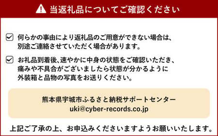 いちご 恋みのり イチゴ 4パック 約1kg【2025年2月上旬から3月下旬発送予定】苺 いちご イチゴ 恋みのり 宇城市産いちご 熊本県産いちご