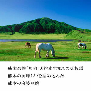 【中辛】馬婆豆腐の素 150g（2～3人前）×5パック