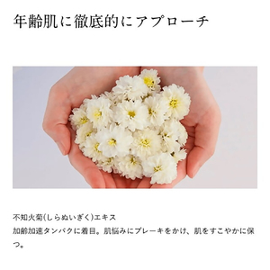 ドモホルンリンクル クリーム20 (約60日分)  