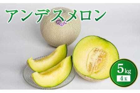 【先行予約】アンデスメロン 4玉入り 合計約5kg【2026年4月中旬〜5月中旬頃発送予定】