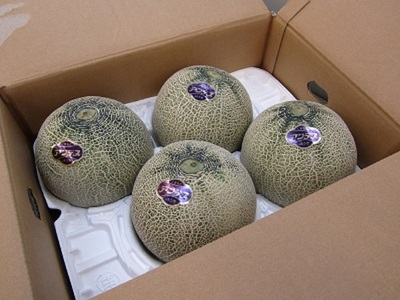 アンデスメロン 4玉入り 合計約5kg【2026年4月中旬〜5月中旬頃発送予定】