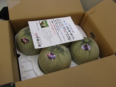 アンデスメロン 4玉入り 合計約5kg【2026年4月中旬〜5月中旬頃発送予定】