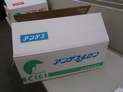 アンデスメロン 4玉入り 合計約5kg【2026年4月中旬〜5月中旬頃発送予定】