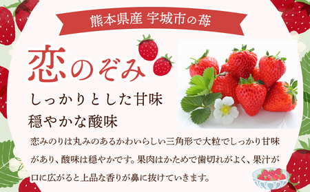 先行予約 いちご 恋のぞみ (250g×2パック) 合計500g  JA熊本うき