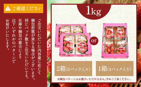 先行予約 いちご 恋のぞみ (250g×4パック) 合計1kg JA熊本うき
