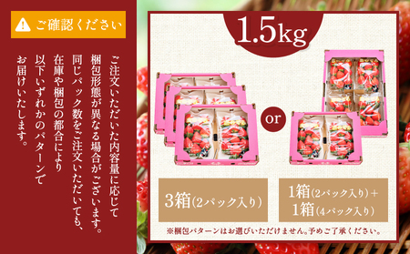 先行予約 いちご 恋のぞみ (250g×6パック) 合計1.5kg JA熊本うき