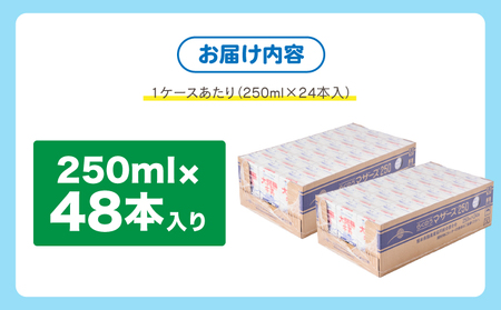 大阿蘇牛乳 250ml 48本セット  常温保存 大阿蘇牛乳 熊本牛乳 成分無調整牛乳 ロングライフ牛乳