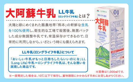 【定期便 1ヶ月毎：2回】大阿蘇牛乳 250ml 1回あたり24本入り  常温保存 大阿蘇牛乳 熊本牛乳 成分無調整牛乳  ロングライフ牛乳
