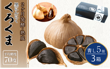 黒にんにく 「くろくま」L玉 5個×3箱 青森県産にんにく 宇城市黒にんにく 熊本県黒にんにく くろくま黒にんにく 発酵熟成黒にんにく