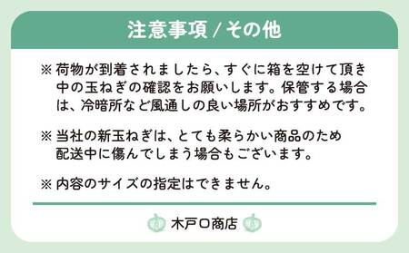 新玉ねぎ 約10kg  訳あり 玉ねぎ たまねぎ 国産たまねぎ 春玉ねぎ サイズ混合玉ねぎ 産地直送たまねぎ 産直玉ねぎ 季節限定たまねぎ【2026年2月中旬～3月上旬発送】【木戸口菜園】