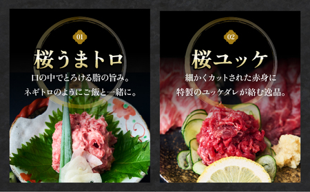 馬刺し 馬刺しスライス 4種セット 馬肉 専用たれ付
