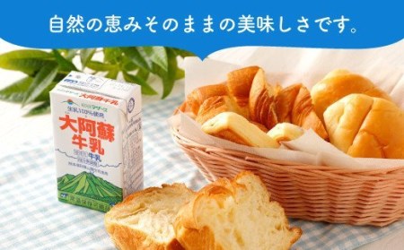 牛乳 【6ヶ月定期便】大阿蘇牛乳 計144本 1ケース（250ml×24本）×6回 常温 らくのうマザーズ 成分無調整牛乳 国産牛乳 