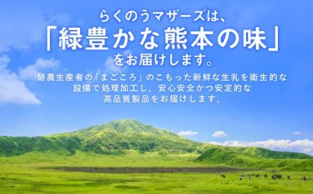 牛乳 【6ヶ月定期便】大阿蘇牛乳 計144本 1ケース（250ml×24本）×6回 常温 らくのうマザーズ 成分無調整牛乳 国産牛乳 