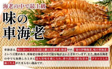 車海老 瞬間冷凍 海老 500g (18~26尾) 戸馳島産 車海老