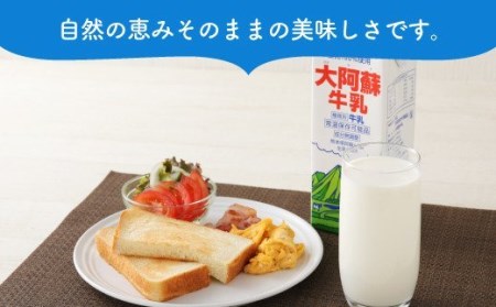 牛乳 1L×6本 計6L 常温保存 常温 らくのうマザーズ 大阿蘇 牛乳 1L×6本 計6L 紙パック ミルク 成分無調整牛乳 生乳