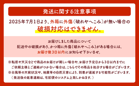 ケーキ おっぱいチーズケーキ 2個セット(プレーン・キャラメル)