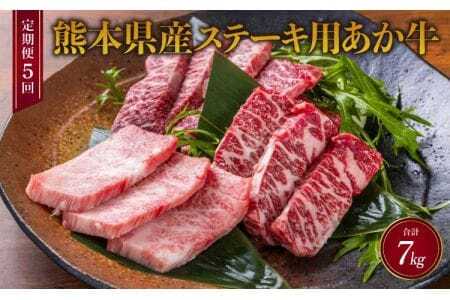 ステーキ 【5ヶ月定期便】あか牛 （ヒレ肉600g ロース肉800g）×5回  あか牛ヒレステーキ あか牛ロースステーキ あか牛ステーキセット
