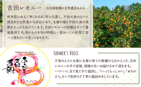 飲むレモン スイートレモネード 100% ジュース 530ml×2本 レモンジュース 国産レモンジュース 熊本県産レモンジュース 宇城市産レモンジュース