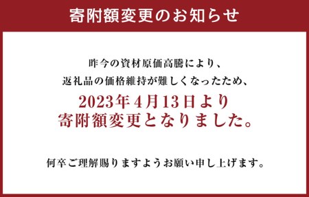 胡蝶蘭 熊本県産 ミディ胡蝶蘭 2本立ち 蘭 ラン 洋蘭 観賞用 贈答用 和モダン インテリア 植物 コチョウラン ミディ胡蝶蘭 KouBou 大地 2本立ち 洋蘭 観賞用 贈答用 植物