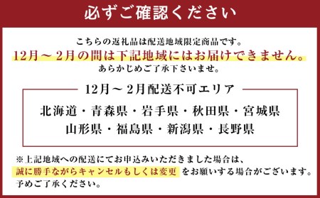 胡蝶蘭 熊本県産 ミディ胡蝶蘭 2本立ち 蘭 ラン 洋蘭 観賞用 贈答用 和モダン インテリア 植物 コチョウラン ミディ胡蝶蘭 KouBou 大地 2本立ち 洋蘭 観賞用 贈答用 植物