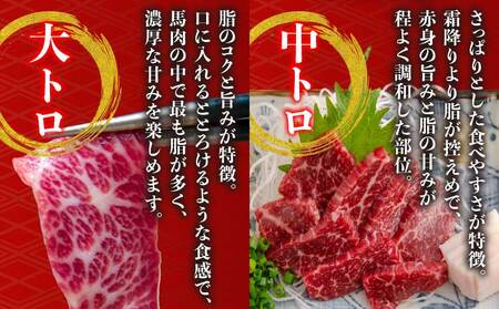 馬刺し 霜降り 赤身 1.1kg 熊本 国産 熊本 タレ 馬刺しセット 盛合わせ 
