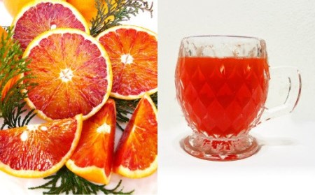 ブラッドオレンジ 100% ジュース 530ml×2本 合計1.06L