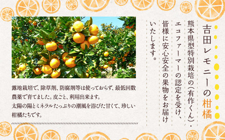 レモン 果汁 300ml 2本セット レモン果汁 国産レモン果汁 宇城市産レモン果汁 熊本県産レモン果汁 無添加レモン果汁