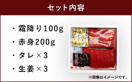 馬刺し セット 霜降り 赤身 300g 大トロ馬刺し 赤身馬刺し 熊本馬刺し 厳選馬刺し 最上級馬刺し