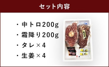 馬刺しセット 中トロ 霜降り 400g