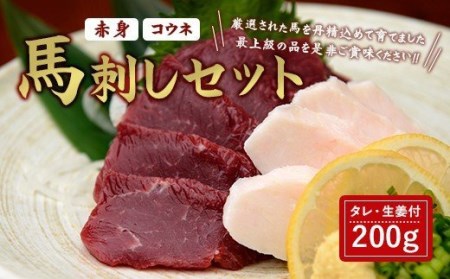 馬刺しセット 赤身 コウネ 200g