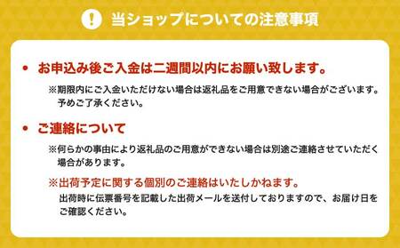 にんにく パウダー 【違いを楽しむ3点セット】 各50g（計150g）