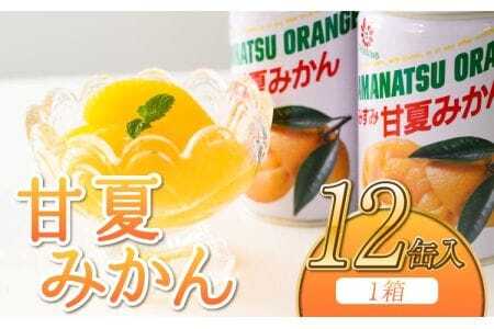 甘夏・夏みかん20個 フルーツ缶詰 甘夏みかん身割れ缶詰( 24個) 5,960円