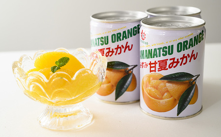 甘夏みかん 甘夏缶詰 12缶 固形量160g | 熊本県宇城市