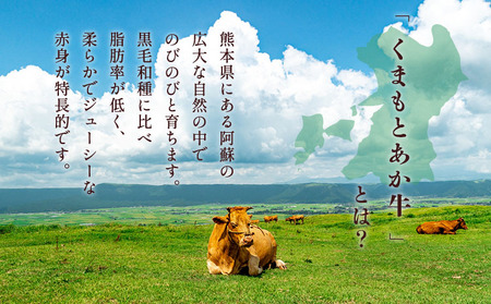 牛肉 あか牛 ロースステーキ ・ ハンバーグセット 合計約1.15kg 熊本県産ハンバーグ 牛肉ハンバーグ あか牛ハンバーグ 牛ハンバーグ