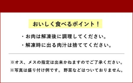 すっぽん 約1,400g（約700g×2セット） すっぽん鍋 高級すっぽん 簡単調理すっぽん すっぽん料理 