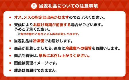 すっぽん 約400g すっぽん鍋 高級 簡単調理 すっぽん料理 スッポン スッポン鍋 加工 スッポン 冷凍肉 約400g