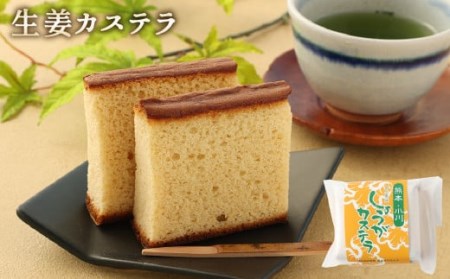 ショウガ カステラ パウンドケーキ 熊本どっさり生姜のお菓子詰め合わせ セット