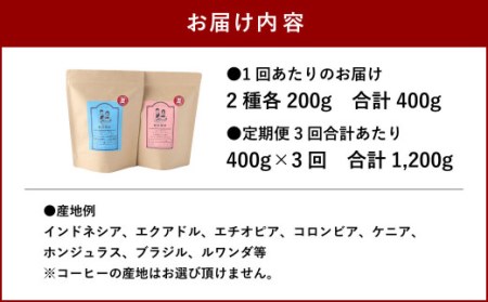 【3ヶ月定期便】 トップ スペシャリティ コーヒー 粉