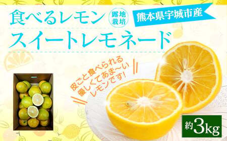 【12月上旬～順次発送予定】食べるレモン スイートレモネード 約3kg 吉田レモニー 檸檬 柑橘