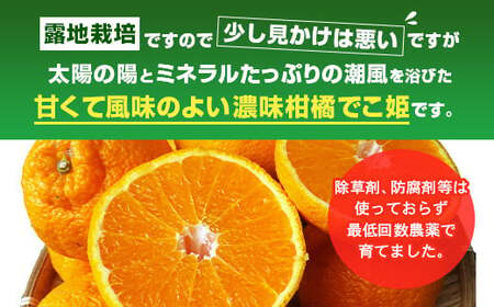 【先行受付】【2024年4月上旬～順次発送予定】訳あり 不知火 でこ姫 約5kg（約18～25玉）吉田レモニー 柑橘 フルーツ 果物