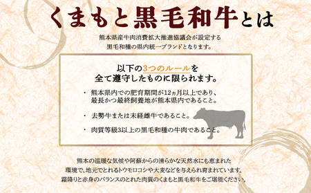 【定期便 全6回】くまもと黒毛和牛すきやき500g 阿蘇牧場 熊本県 阿蘇市