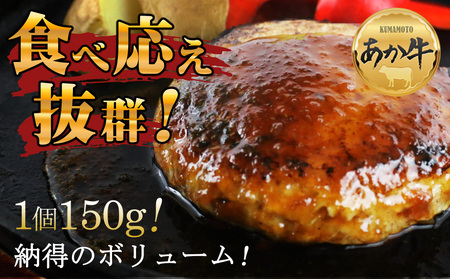 【定期便 全6回】肥後の赤牛ハンバーグ150g×10個 阿蘇牧場 熊本県 阿蘇市