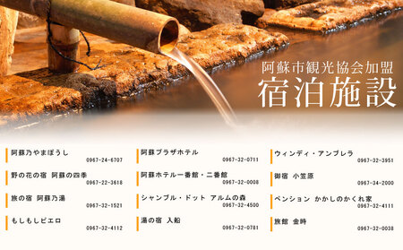 【4,000円分】阿蘇市観光協会加盟施設で使用できる宿泊補助券【旅行】