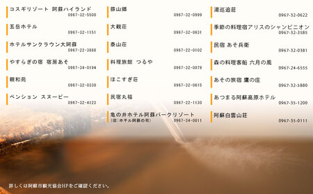 【4,000円分】阿蘇市観光協会加盟施設で使用できる宿泊補助券【旅行】