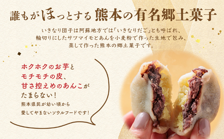 熊本郷土スイーツ「いきなりだんご」食べ比べセット